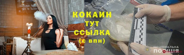 ПСИЛОЦИБИНОВЫЕ ГРИБЫ Вяземский